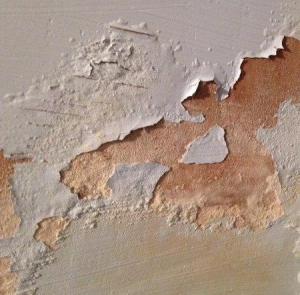 Read More About How to Treat Rising Damp