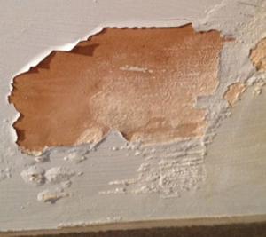 Read More About Internal Damp Proofing: The Complete Guide