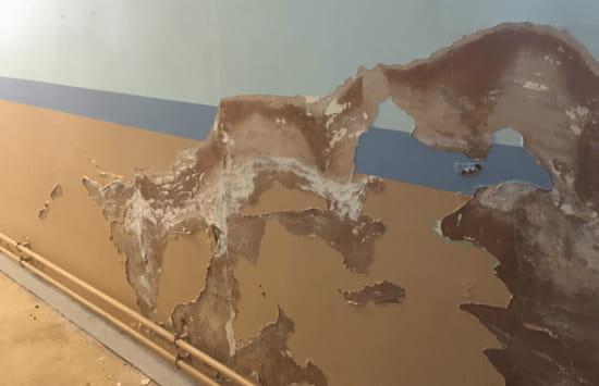 Read More About Causes of Damp in Houses 