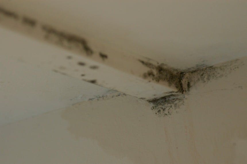 Mould on interior walls