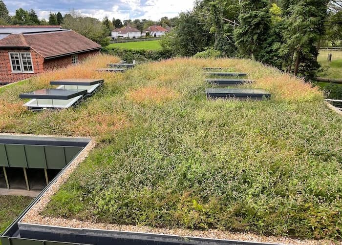 green roof on flat roof extension