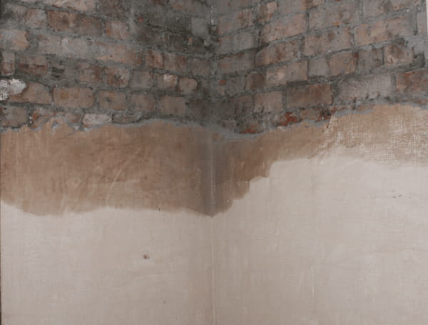 Severe penetrating damp