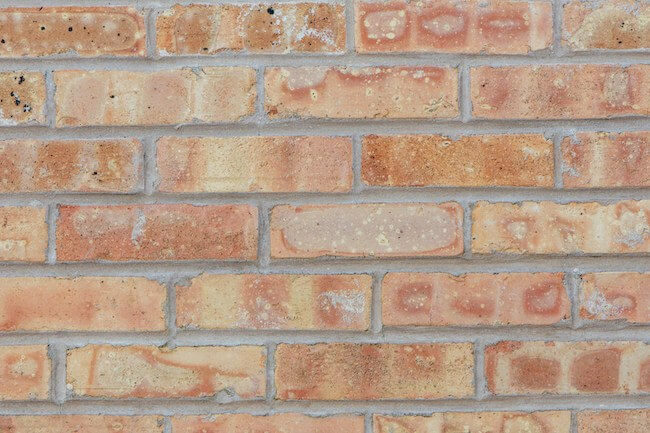 A section of brick wall