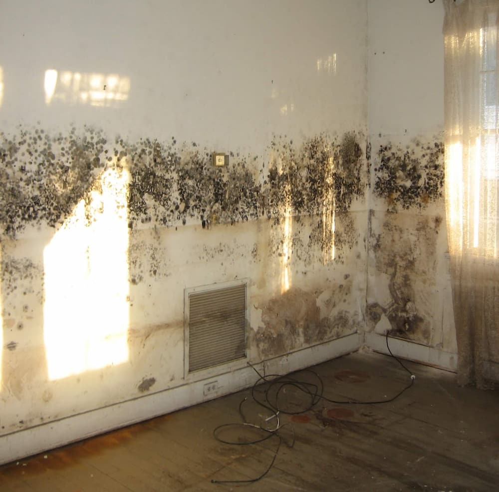 Mould on interior walls