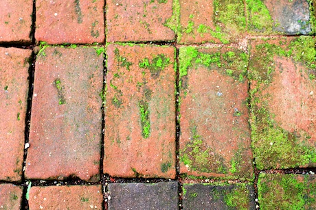 How to Clean Patios and Paving  Permagard