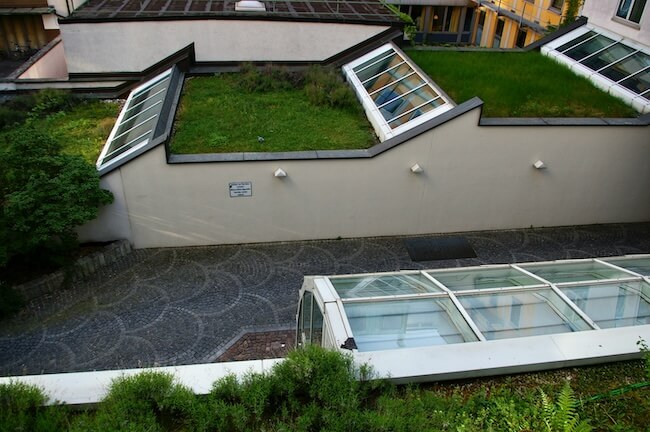 A domestic green roof