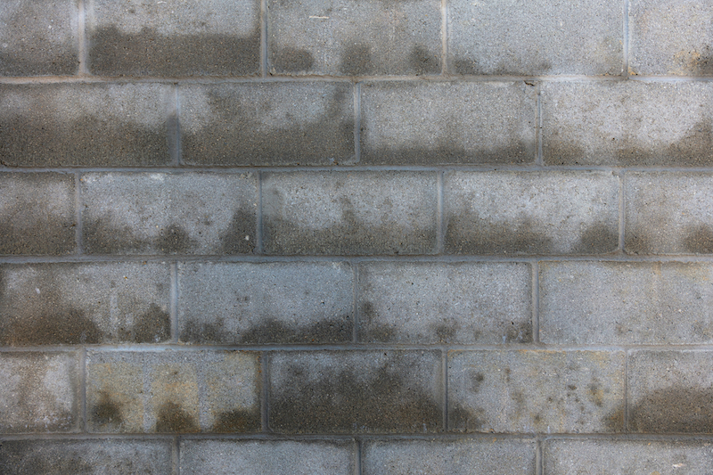 Brickwork affected by damp