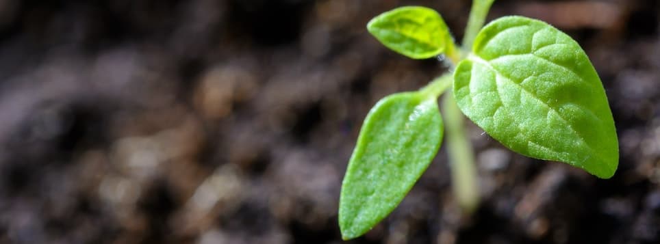 Permagard sustainability and environmental policy