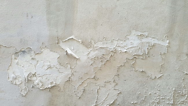 peeling plaster from damp issue
