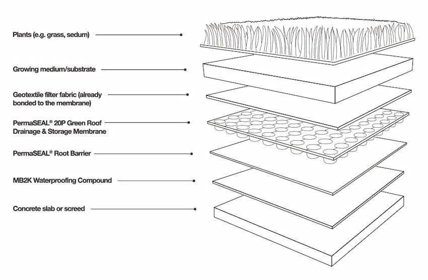 green roof detail diagram