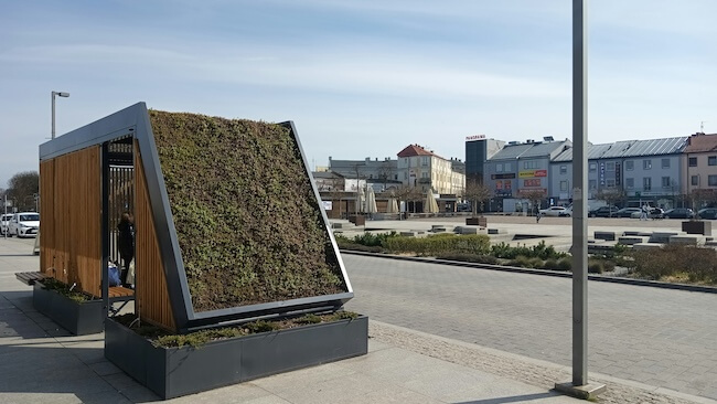 A bus stop green roof